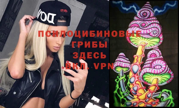 гидропоника Богородицк
