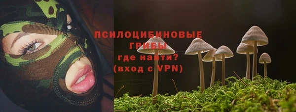 гидропоника Богородицк