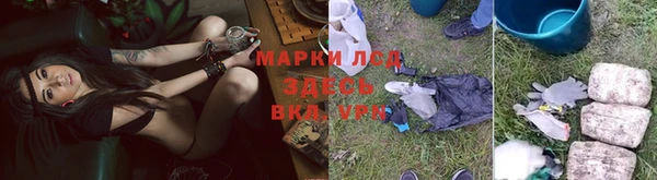 гидропоника Богородск