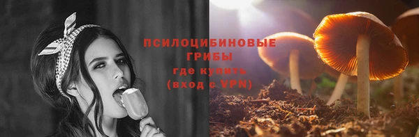 mdpv Богданович
