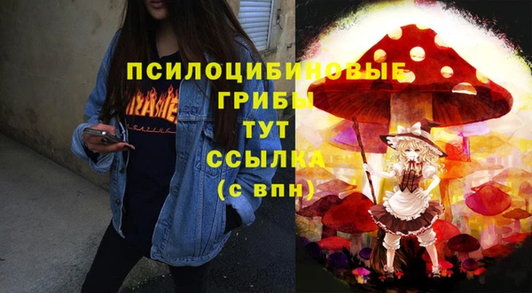 гидропоника Богородск