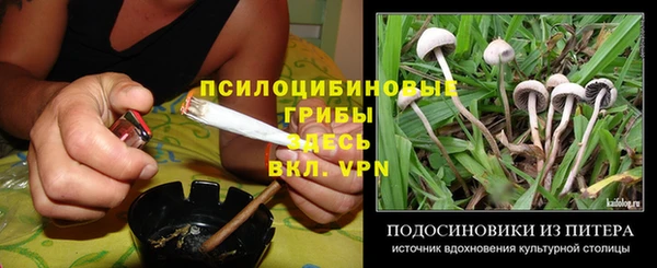 гидропоника Богородицк