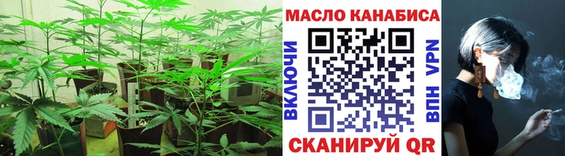 Купить закладки  Палласовка  Дистиллят ТГК THC oil 