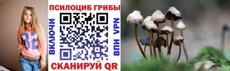 Купить где  Палласовка  Псилоцибиновые грибы мицелий 