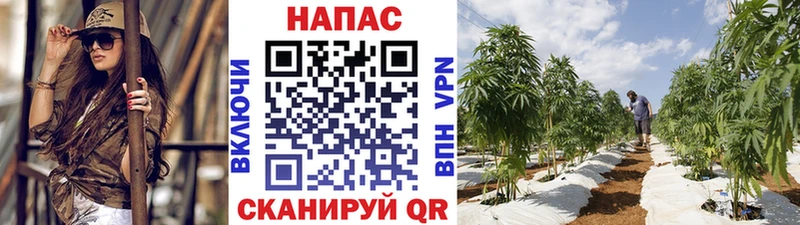 Купить где  Палласовка  Шишки марихуана VHQ 